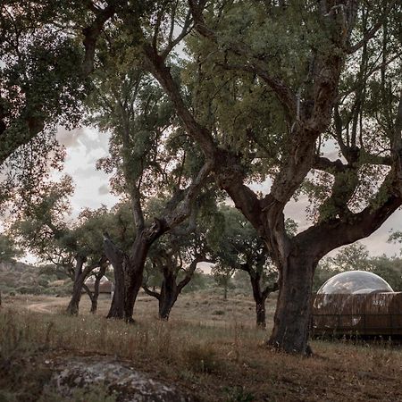 Finca el Cortiñal Valencia de Alcántara Esterno foto