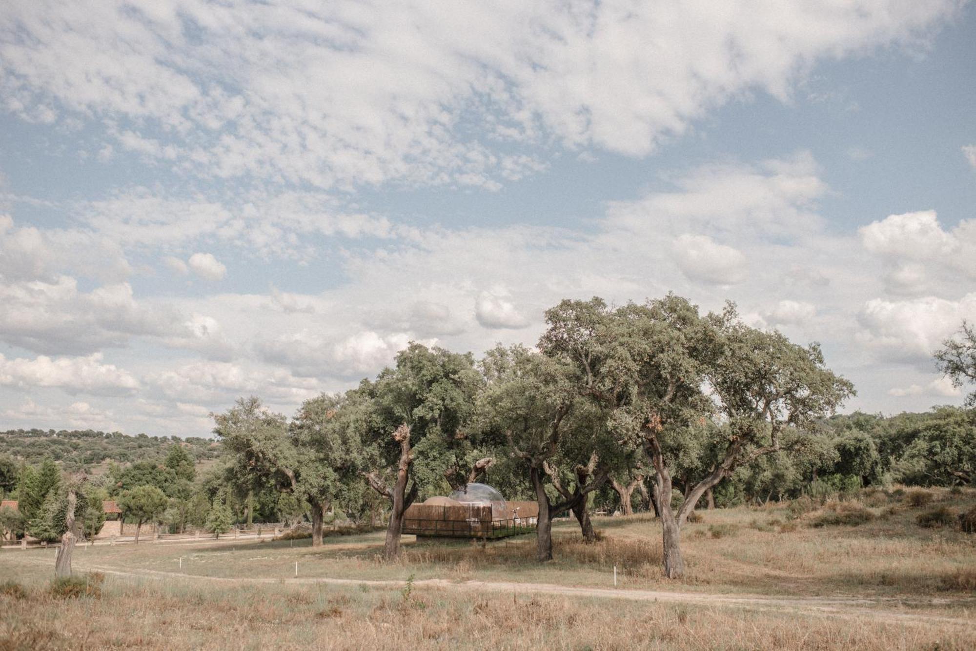 Finca el Cortiñal Valencia de Alcántara Esterno foto