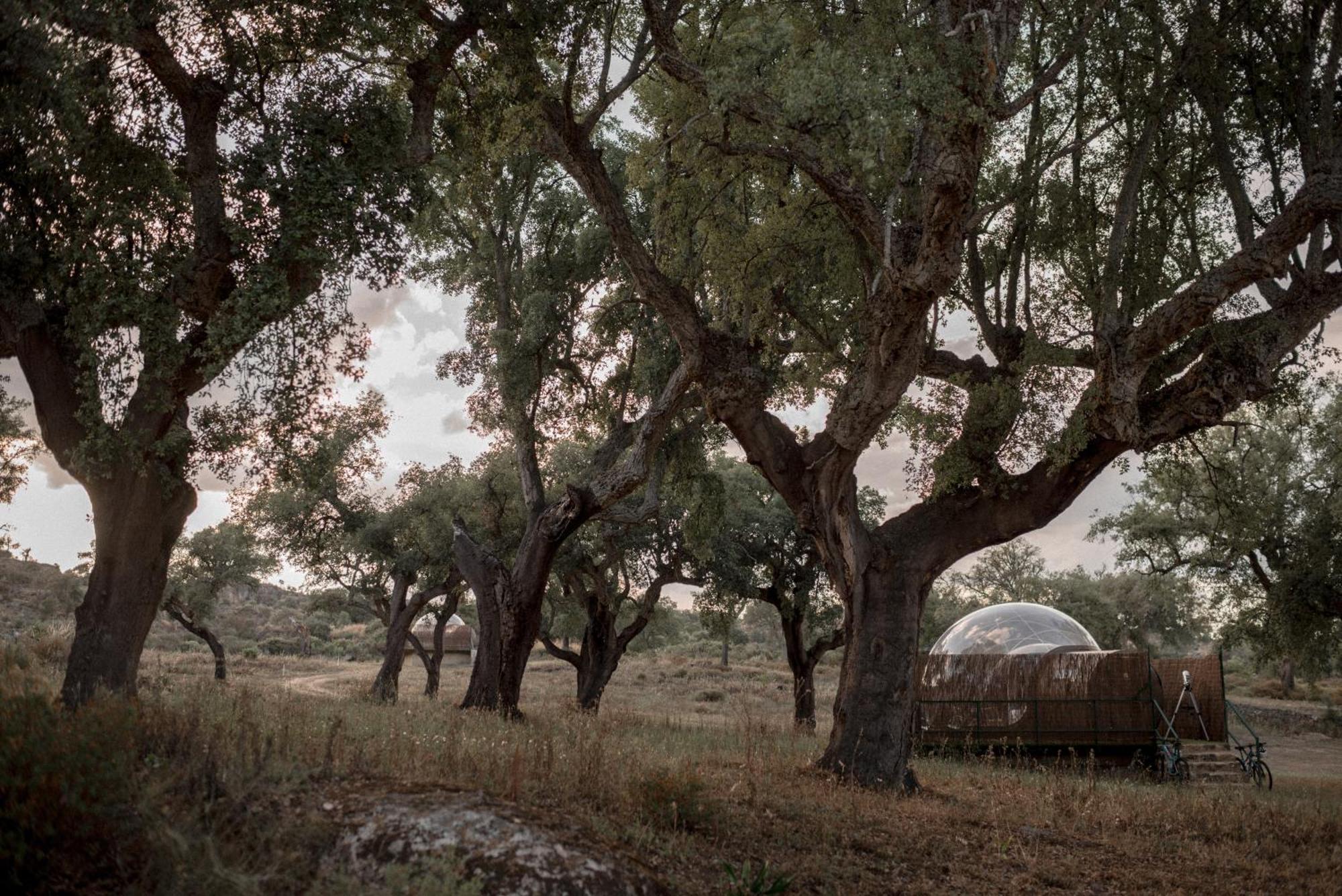 Finca el Cortiñal Valencia de Alcántara Esterno foto