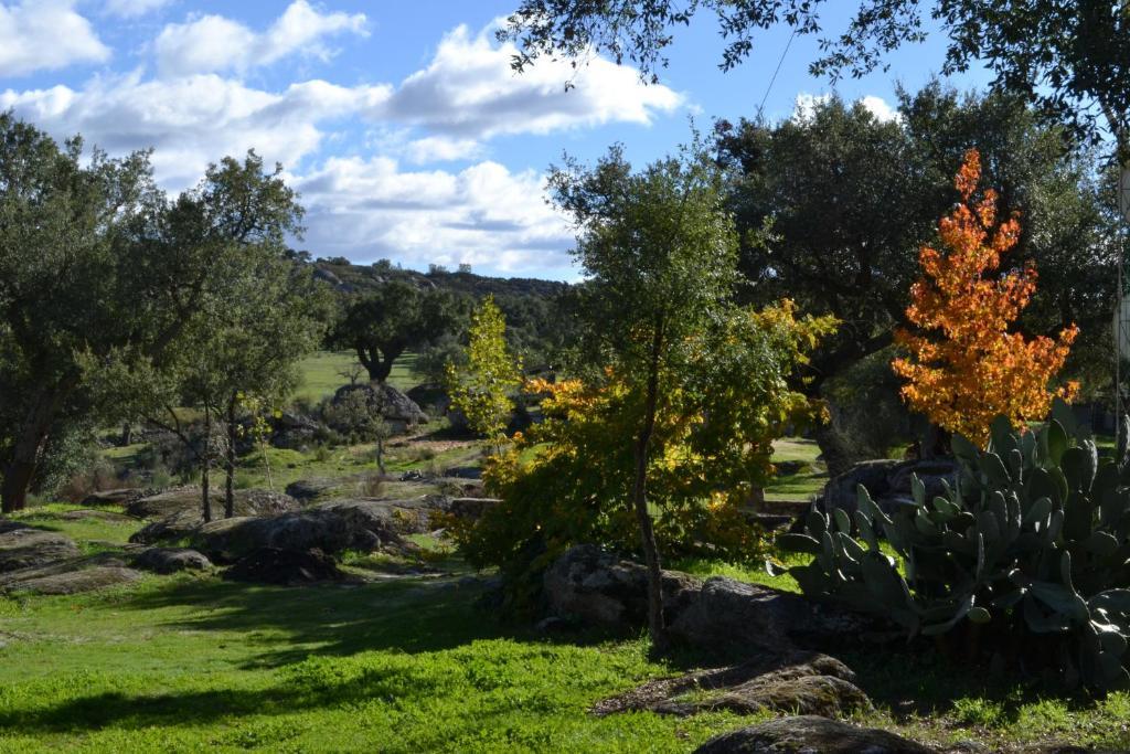 Finca el Cortiñal Valencia de Alcántara Camera foto